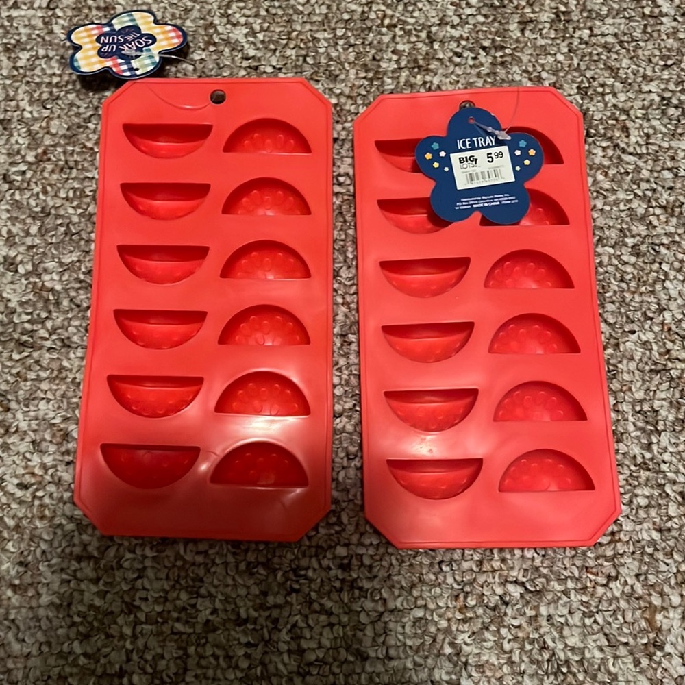 2 Big Lots watermelon ice trays